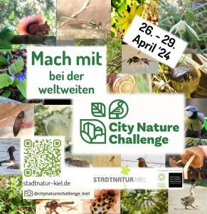 City Nature Challenge Kiel-Region 