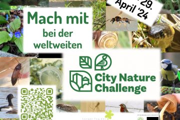 City Nature Challenge Kiel-Region