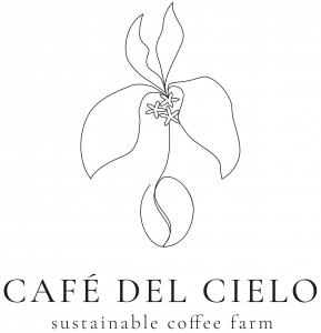 Logo Cafè der Cielo